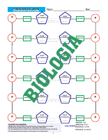 PAG Para Incluir Pdf Dirzon